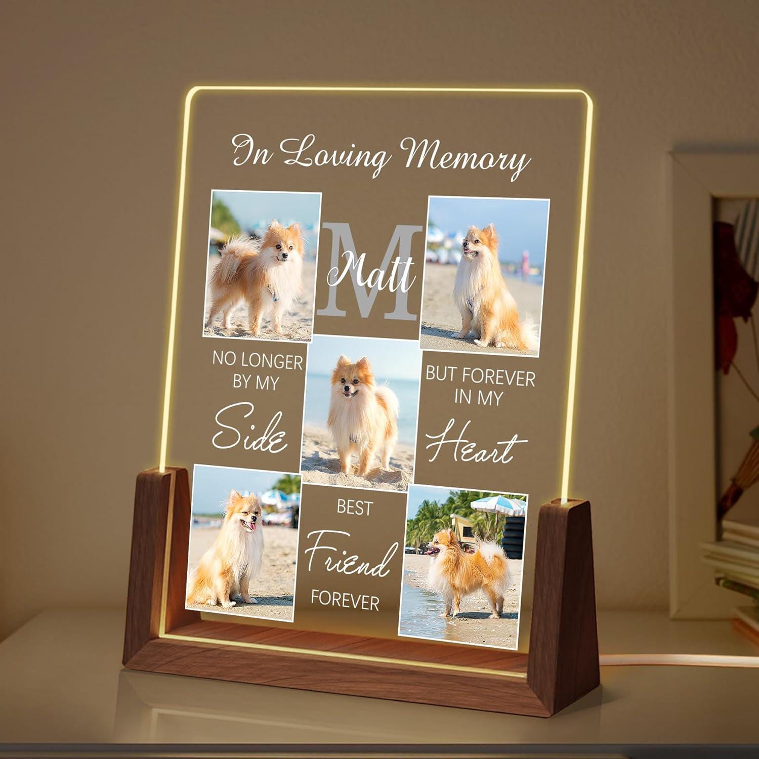 Personalized Pet Memorial Gifts, Custom Acrylic LED Night Light Pet Loss Gifts Cat Pet Memorial Gifts with Pictures, Gifts for Pet Lover - main product image