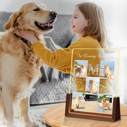 Personalized Pet Memorial Gifts, Custom Acrylic LED Night Light Pet Loss Gifts Cat Pet Memorial Gifts with Pictures, Gifts for Pet Lover - product image 2
